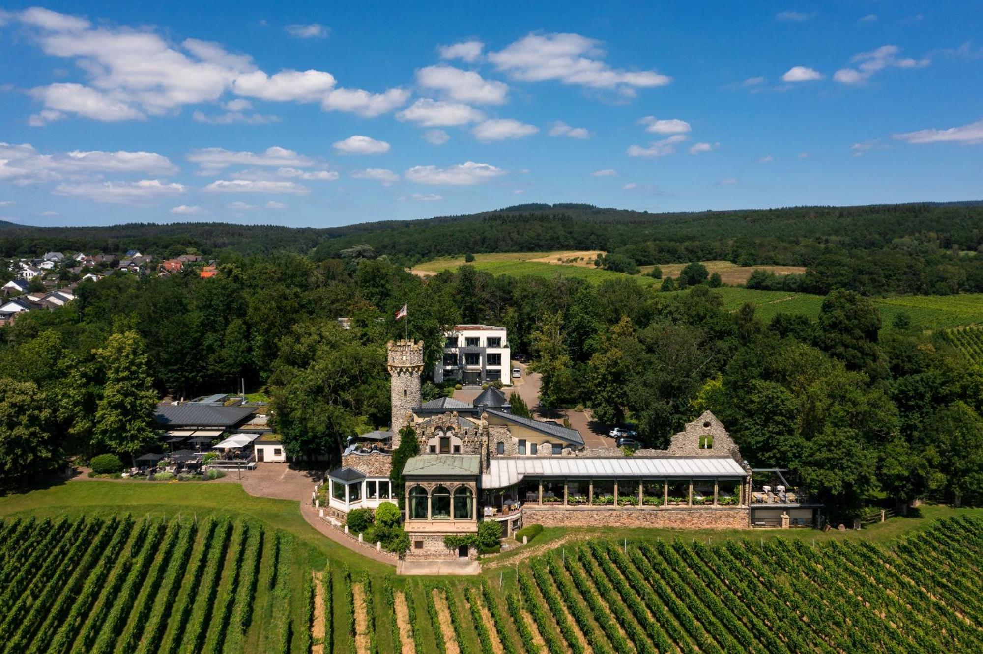 Relais & Chateaux Hotel Burg Schwarzenstein Geisenheim Esterno foto